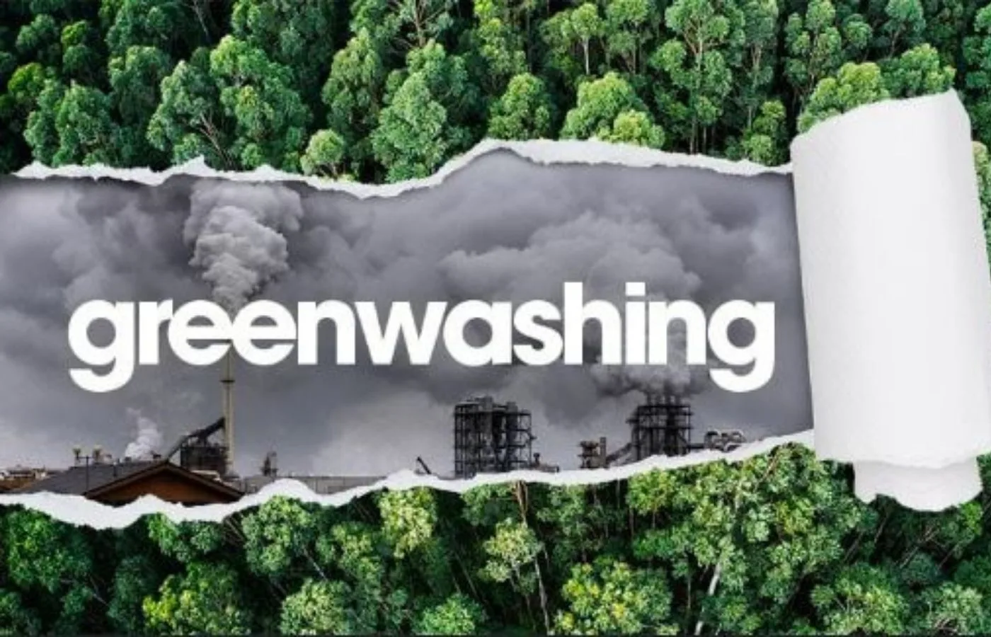 Greenwashing: Bir Trendin Perde Arkası ve Zararları